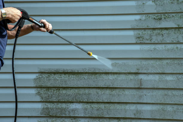 Best Local Pressure Washing Services  in Mount Pleasant, TN