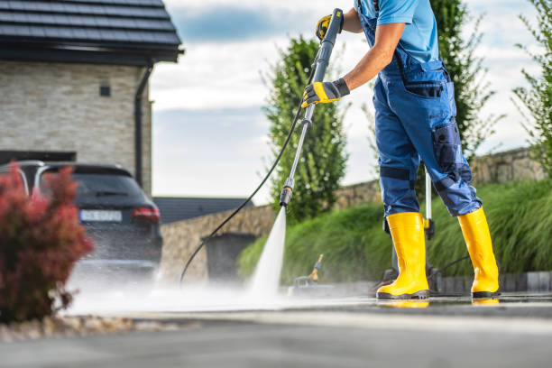 Best Roof Pressure Washing  in Mount Pleasant, TN