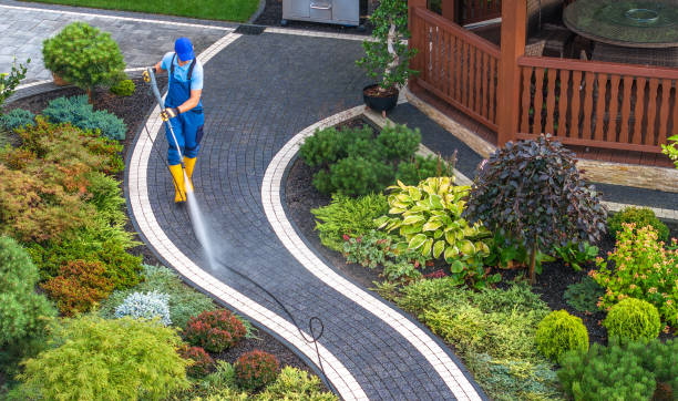 Best Power Washing Near Me  in Mount Pleasant, TN
