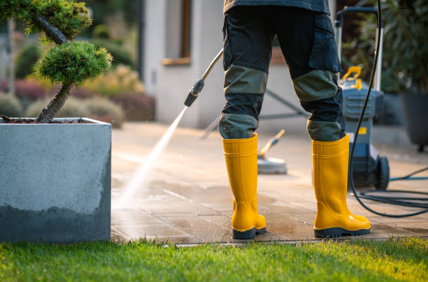 Best Sidewalk Pressure Washing  in Mount Pleasant, TN
